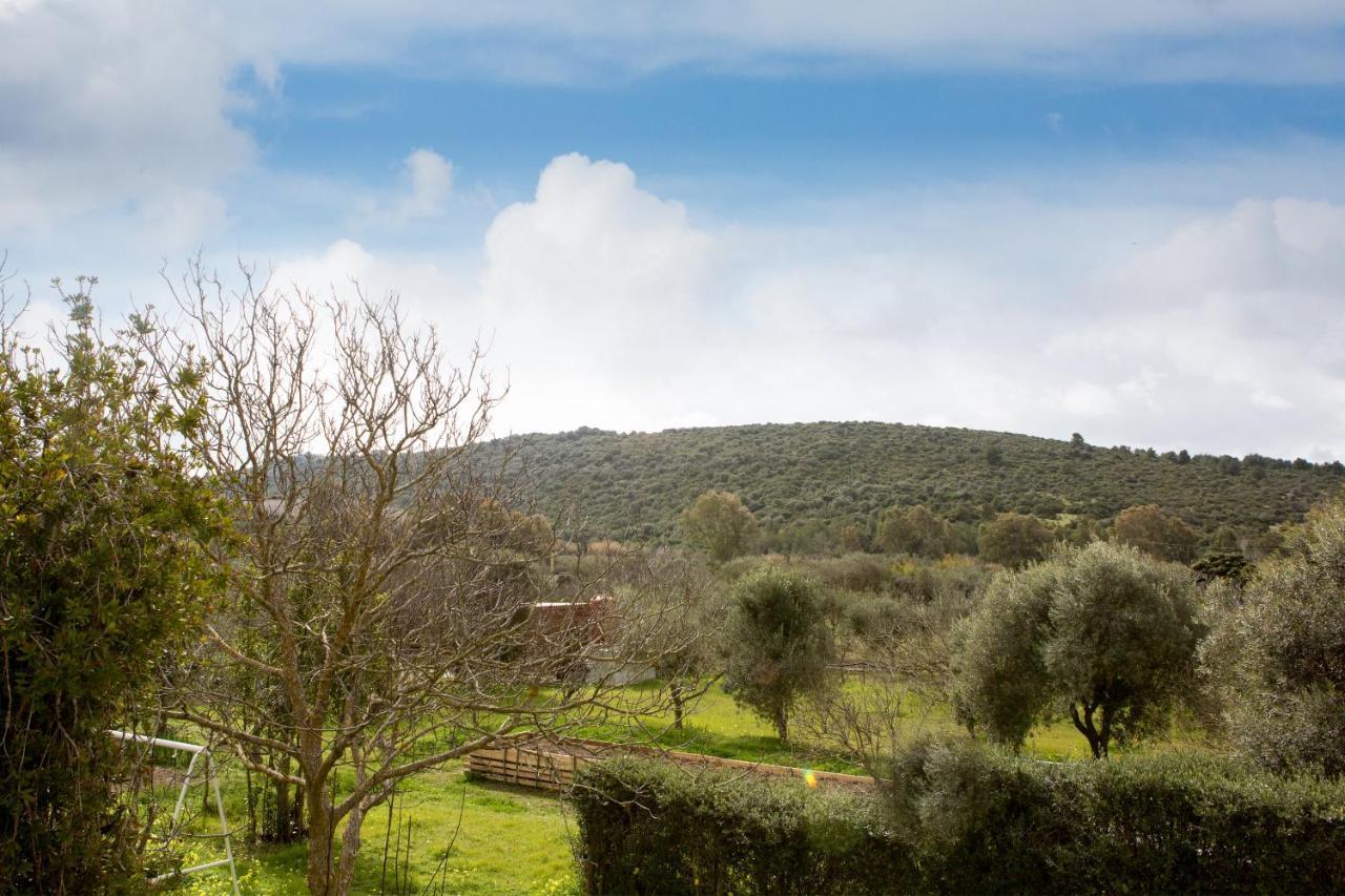 Alghero In Bicicletta Bagian luar foto