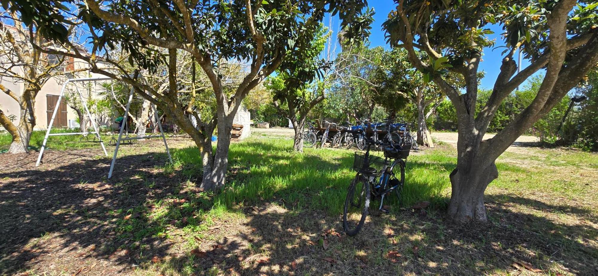 Alghero In Bicicletta Bagian luar foto